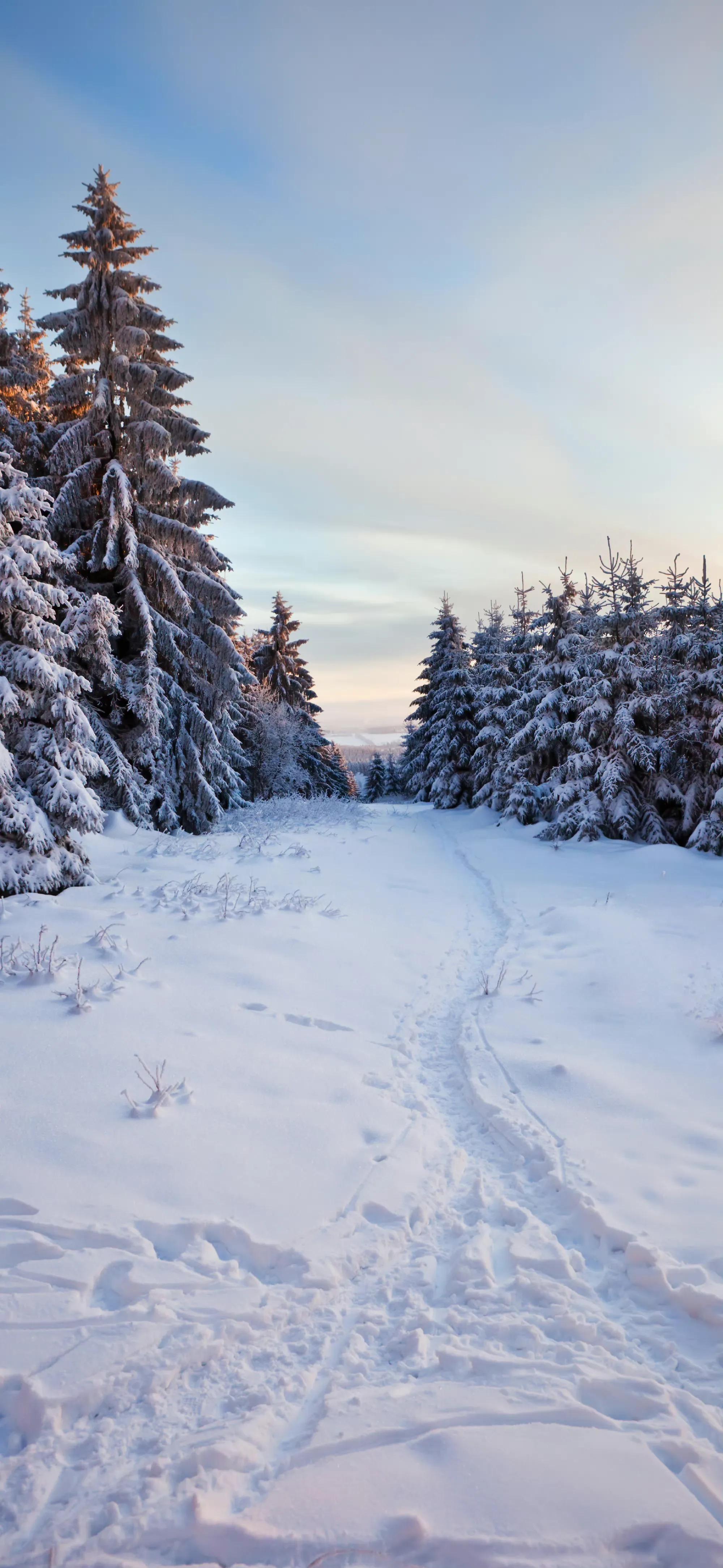品读七首大雪诗词,大雪时节的唯美诗词