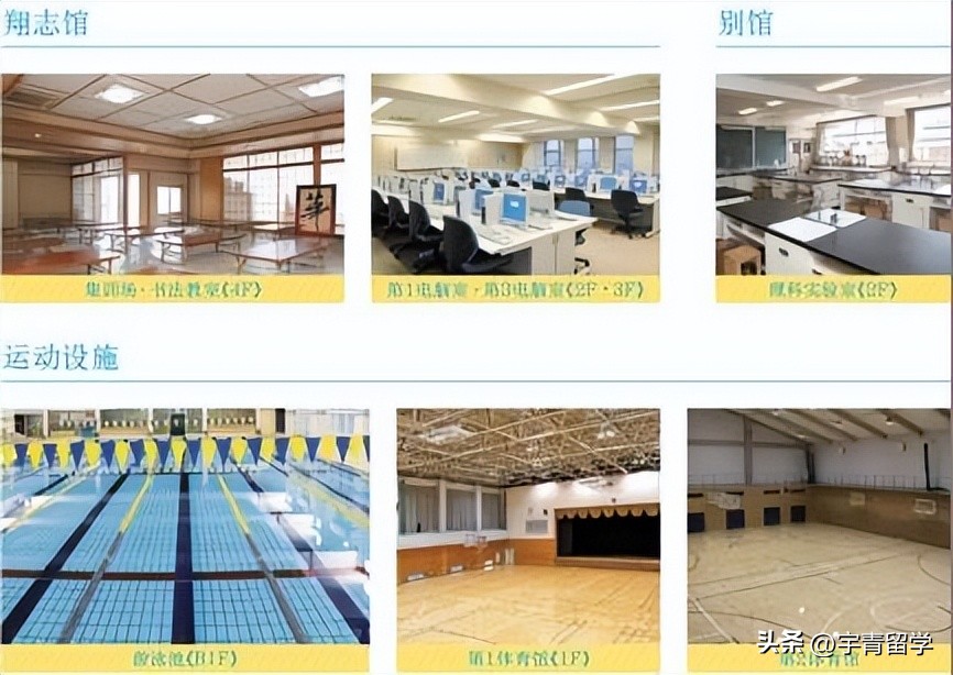 京都两洋高中与仙台育英高中比较,京都两洋高中留学经历