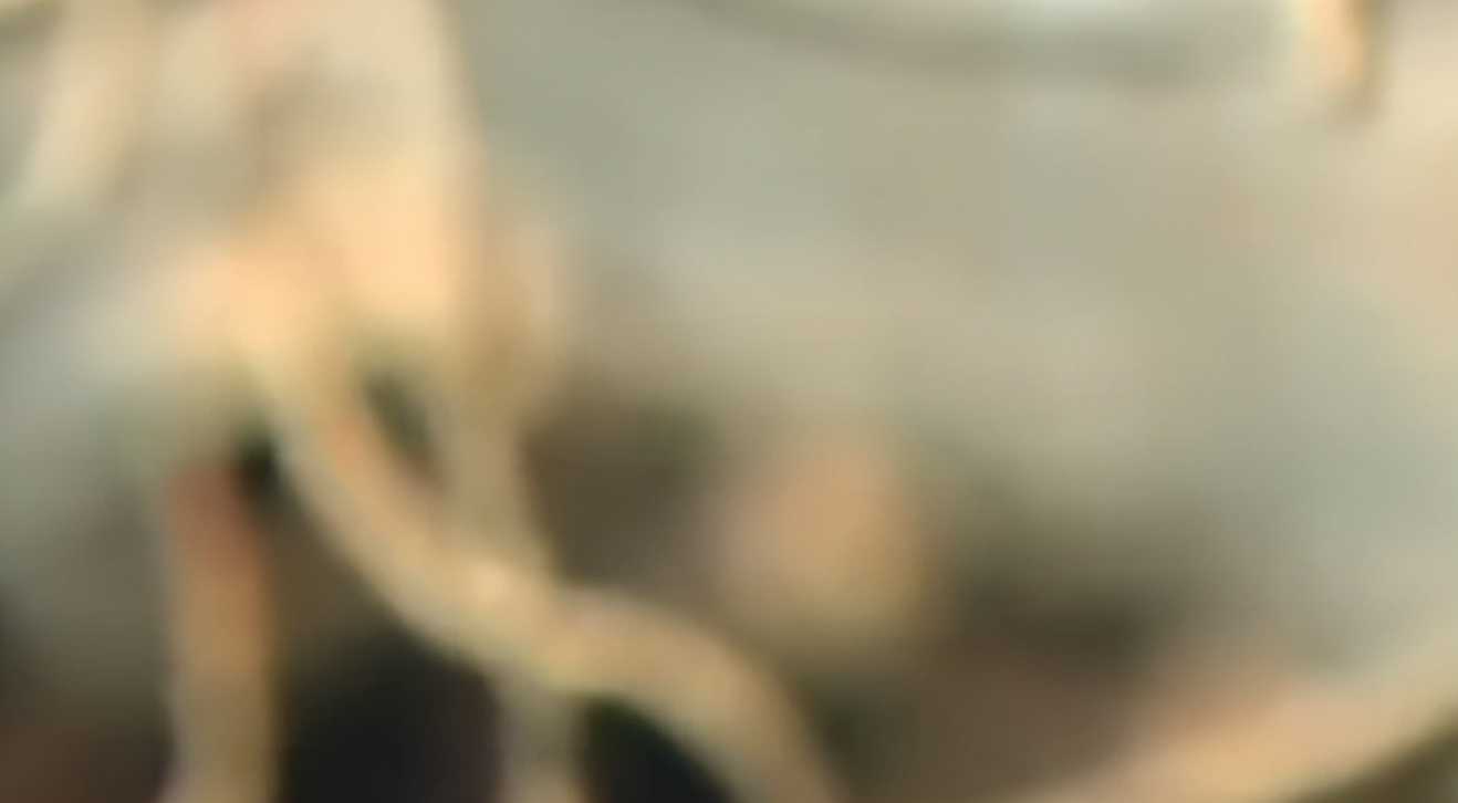 一夜间全村遭鬼剃头,山村鬼剃头真相