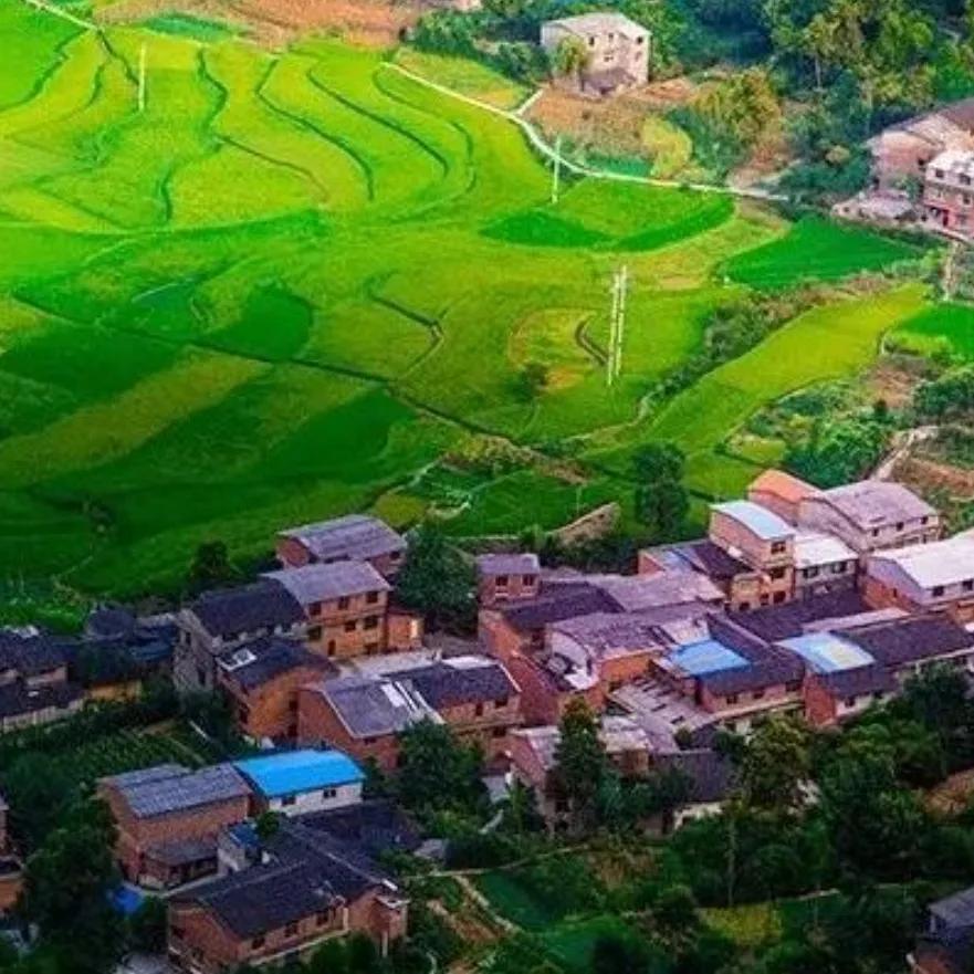 重庆綦江郭扶高庙视频,重庆綦江郭扶抬龙杠视频