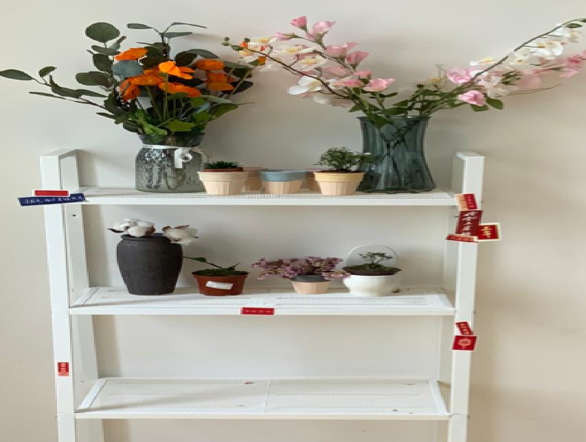 给教室“施魔法”！成都青苗教室装饰比赛，创意非凡