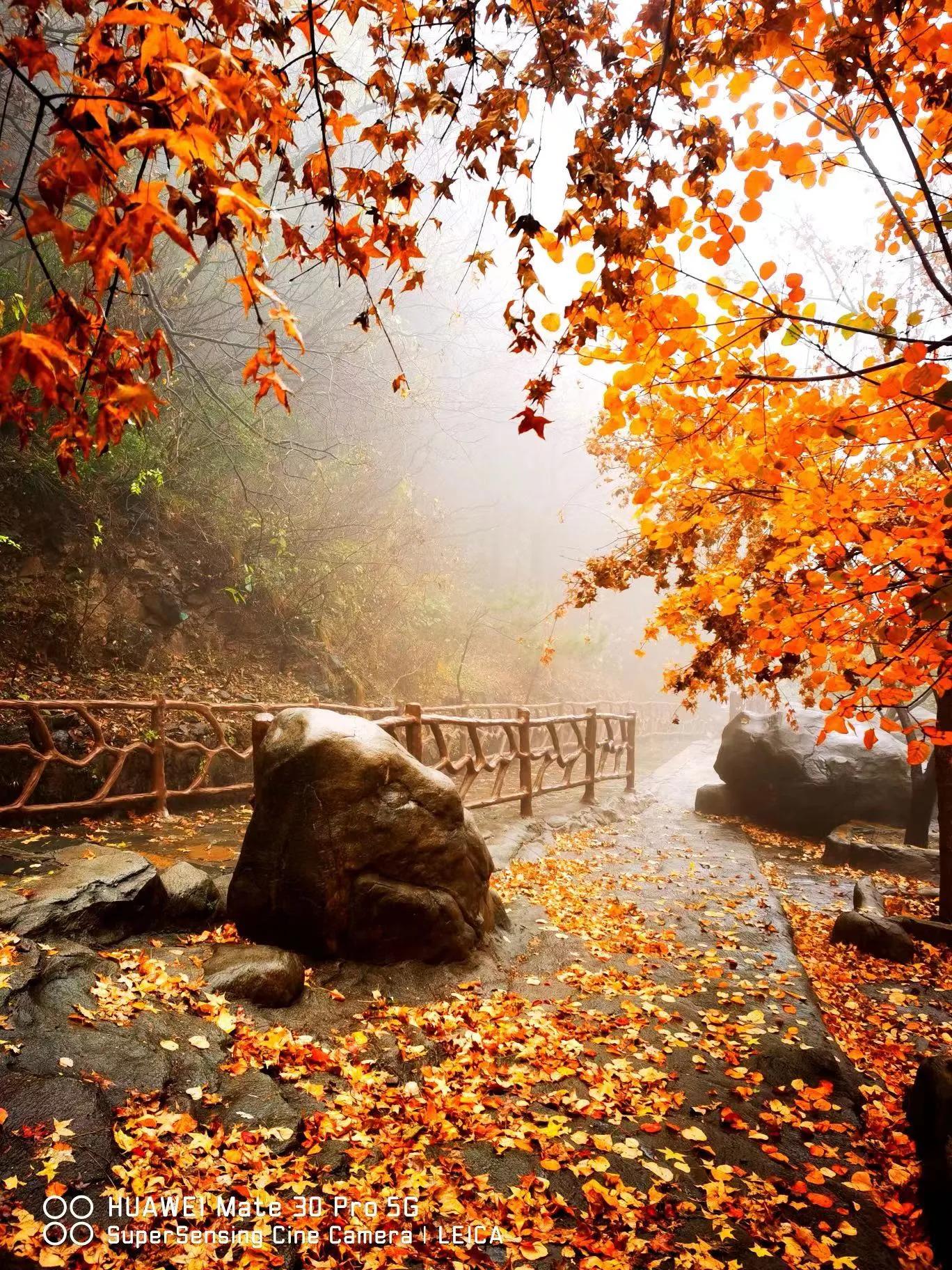 股市心得和炒股的5个要点,股市大a调整方法