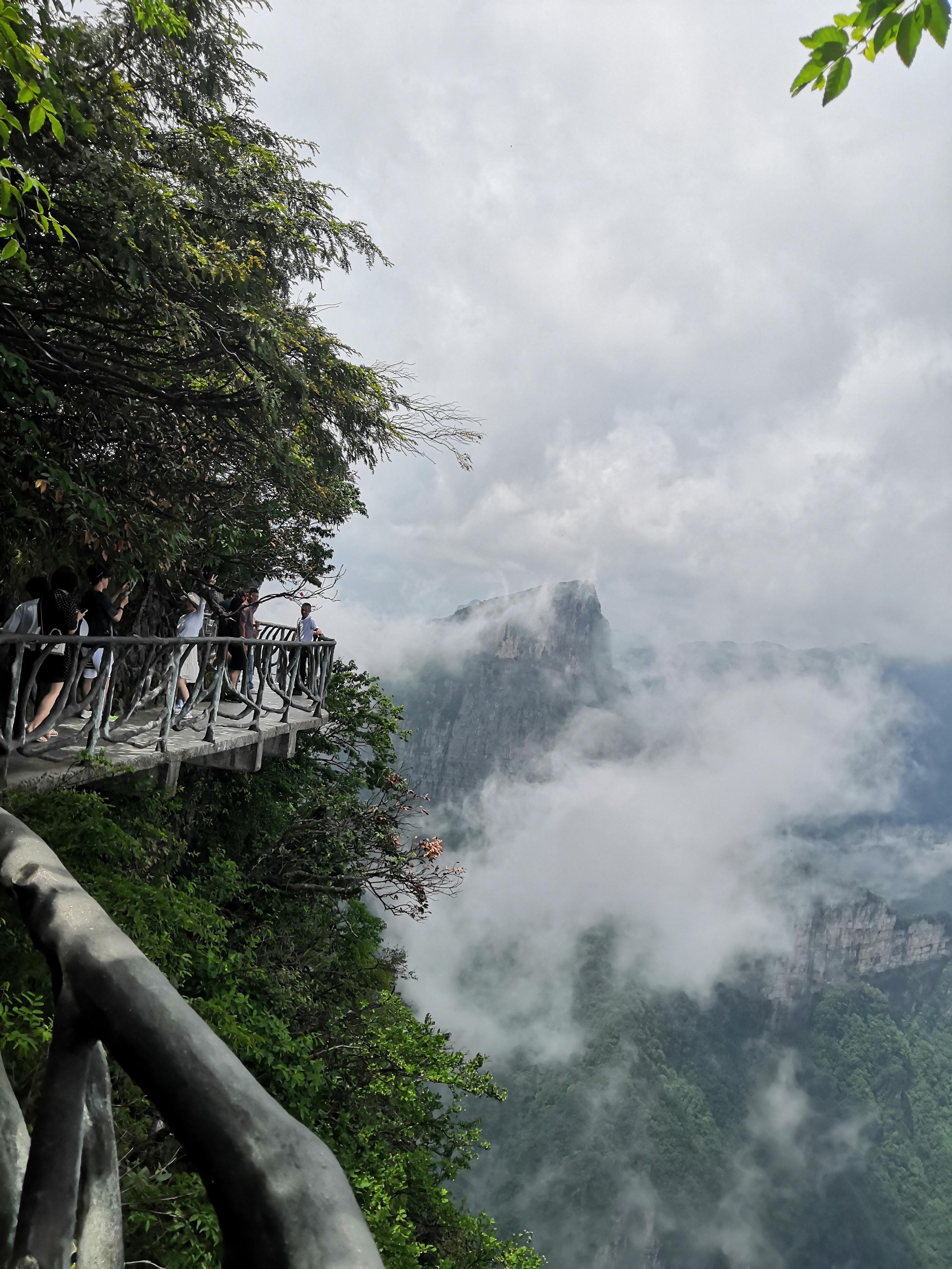 张家界凤凰古城六日游视频,重庆张家界凤凰古城六日游