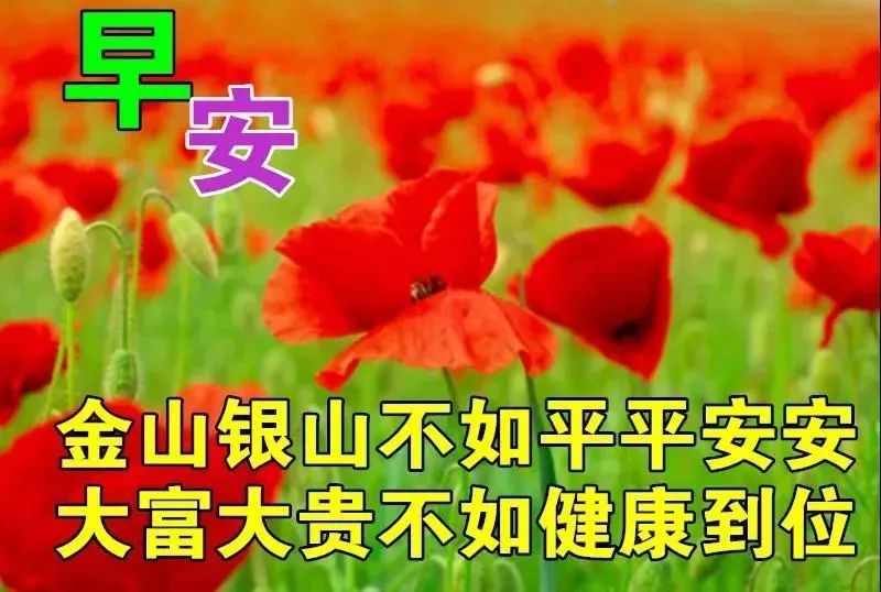 早安真人表情包图片大全,早安表情包图片大全