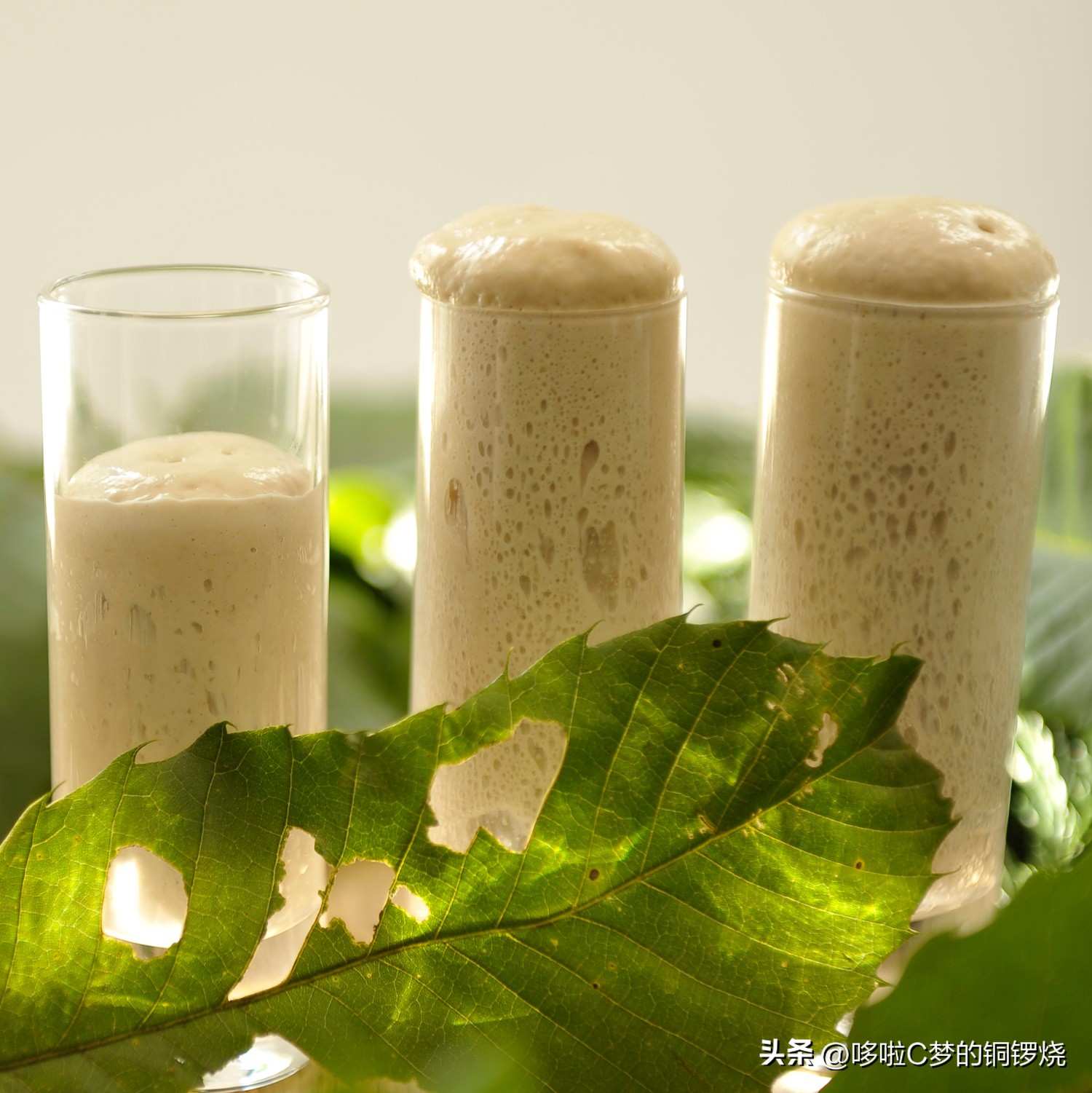 世界顶级餐厅美食排行,世界十大美食餐厅排名