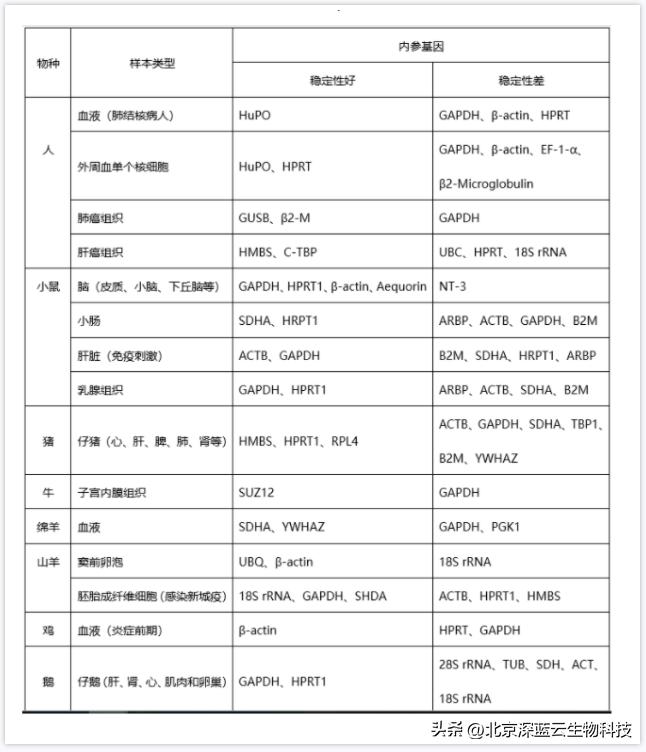 罗氏荧光定量pcr仪操作步骤,荧光定量pcr的实验图片