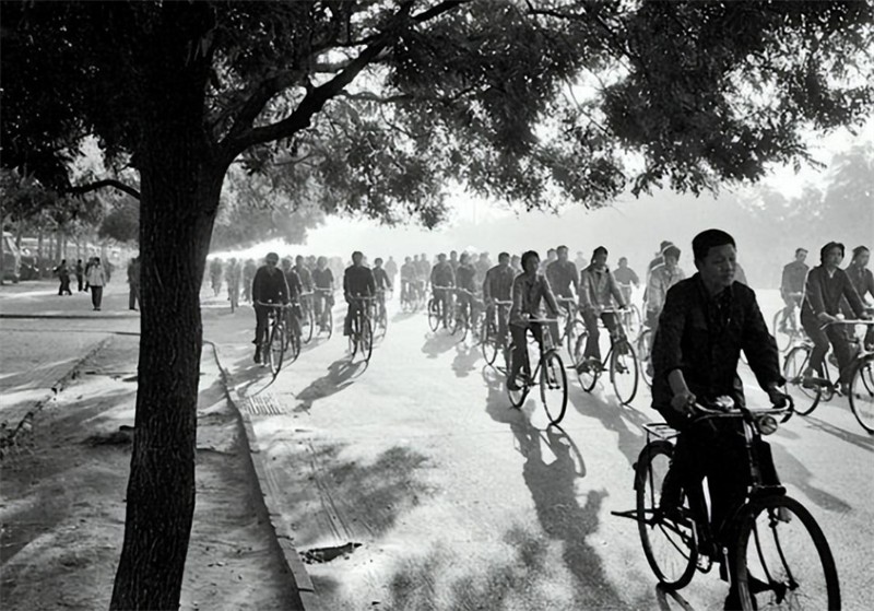 双桥流氓案件,双桥老流氓杀人案纪实