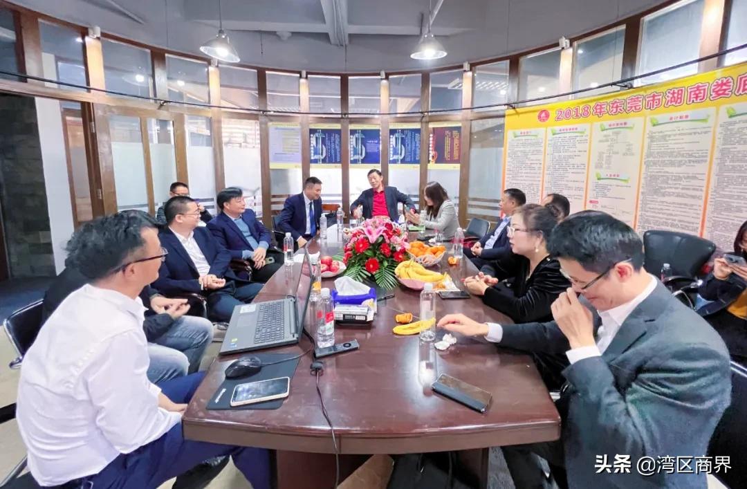 东莞市湖南商会会员走访,东莞湖南商会座谈会