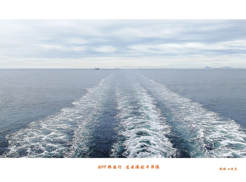 韩国行中国行,韩国行旅行团