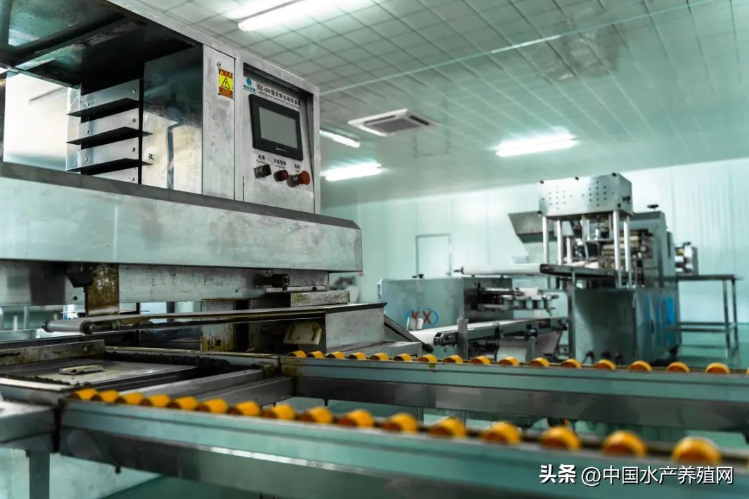 合工大食品与生物工程学院实践团：当涂凝聚青年力量赋能乡村振兴