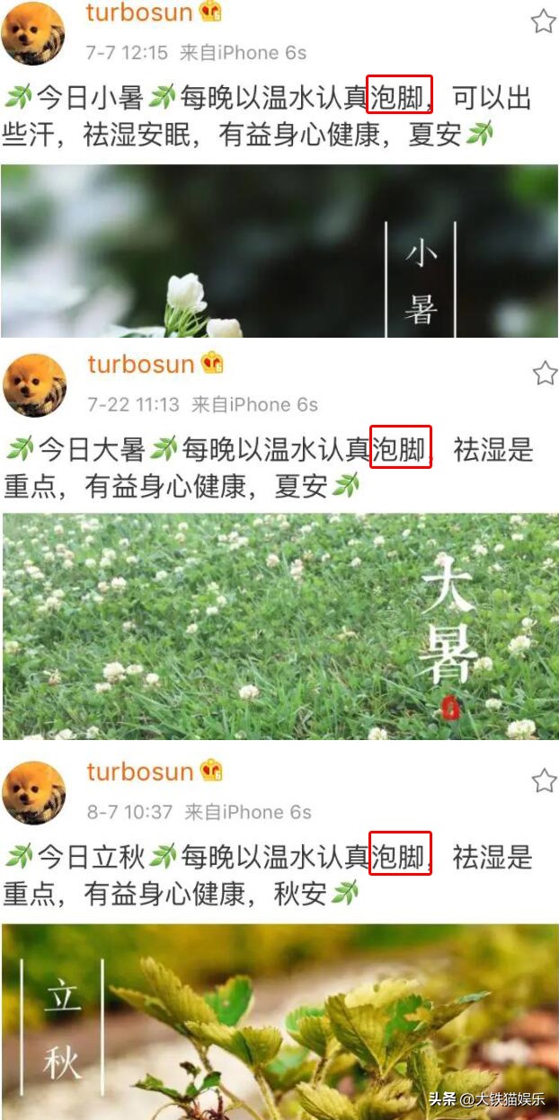 养生达人女的,养生达人女明星