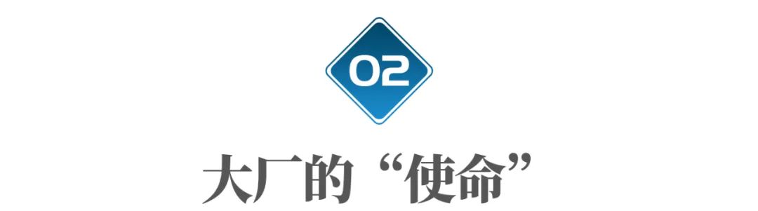 南京有没有好的大厂,南京比较有名气的大厂