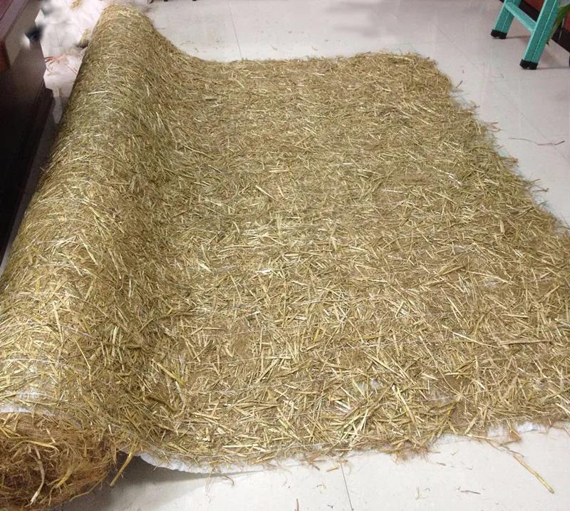 喝完椰子水的椰子壳能要吗,喝完椰汁椰子壳还有用吗