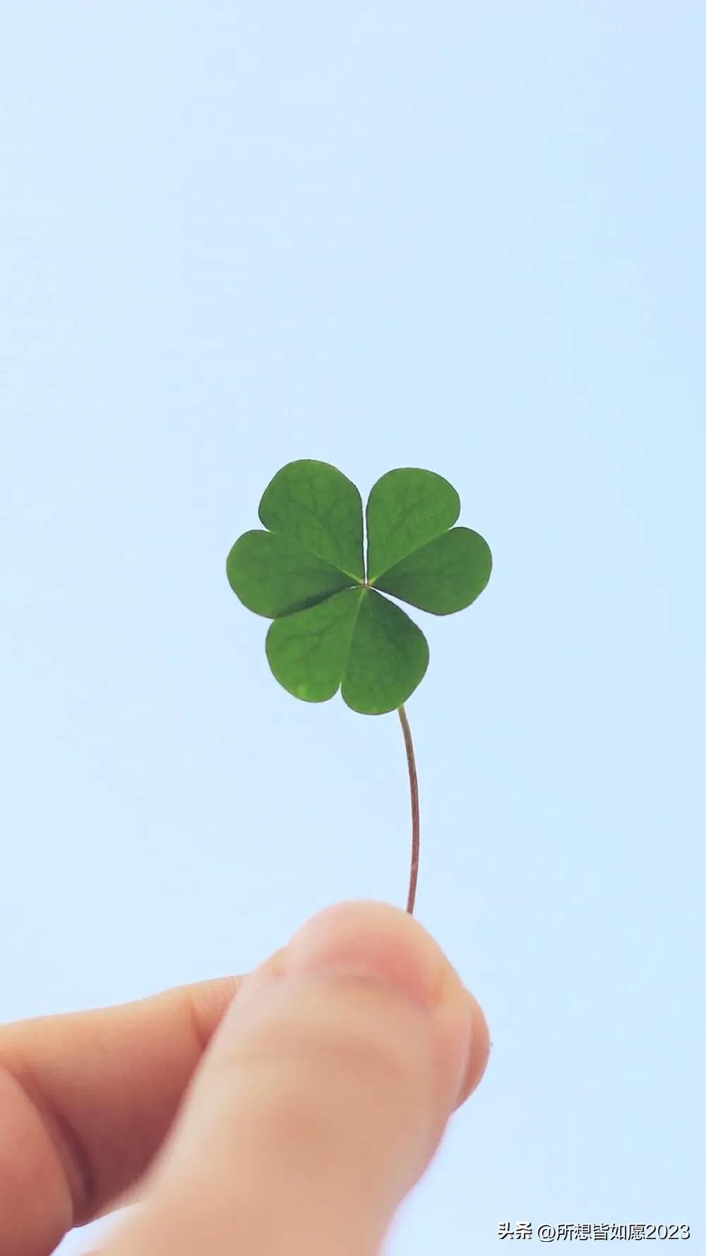 北京奇怪自然现象,北京夜晚惊现奇妙现象