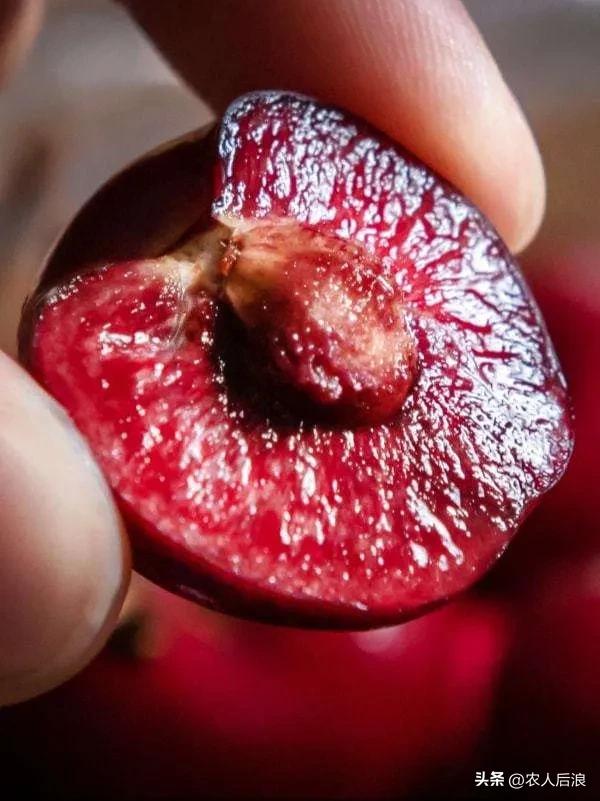 智利车厘子如何保鲜,车厘子过海怎么保鲜