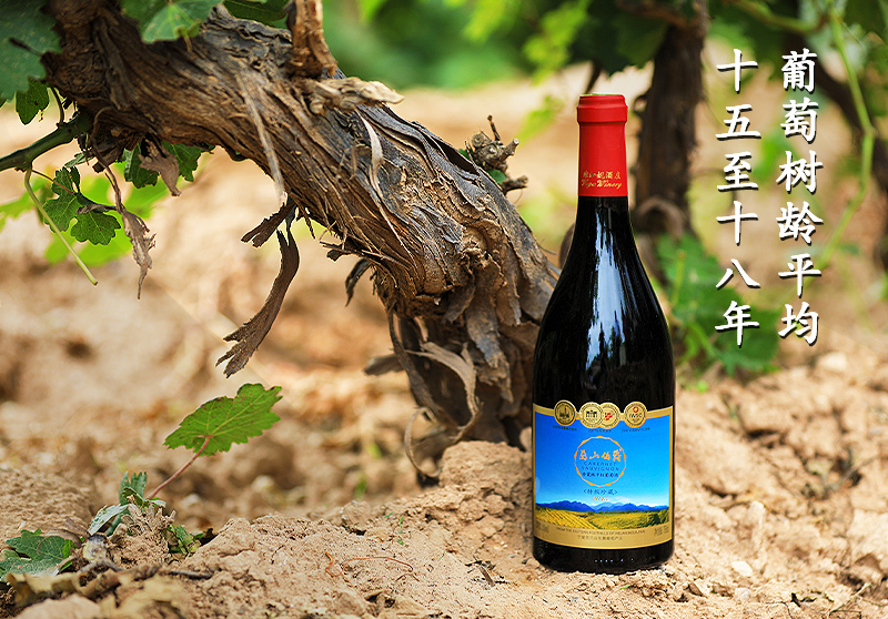 葡萄酒有哪些主要产区和特点,中国最好的葡萄酒产地是哪里