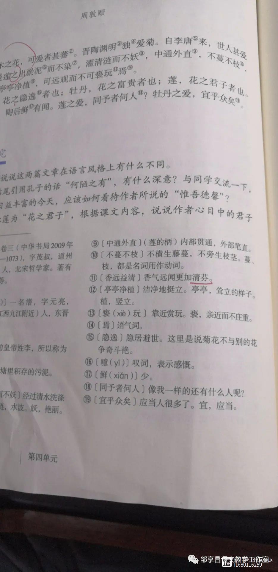 《爱莲说》一文中的几个有趣的小问题