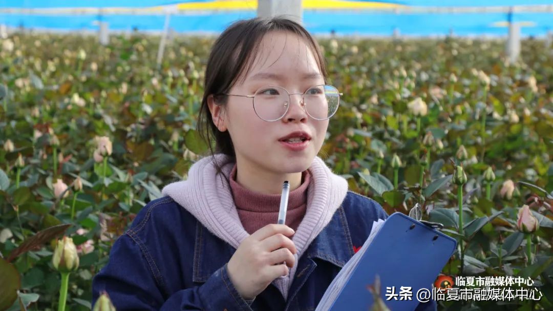 深化校企合作，共谋科技创新——首批中国农业大学研究生在临夏百益亿农国际鲜花港开展花卉产业课题研究