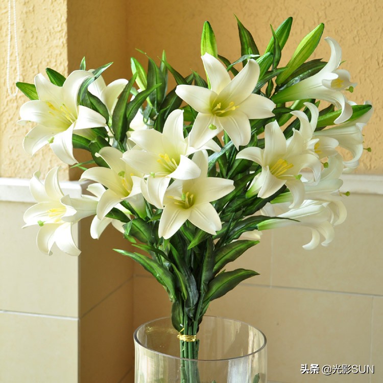 百合花的花语文案爆款,百合花的花语和传说