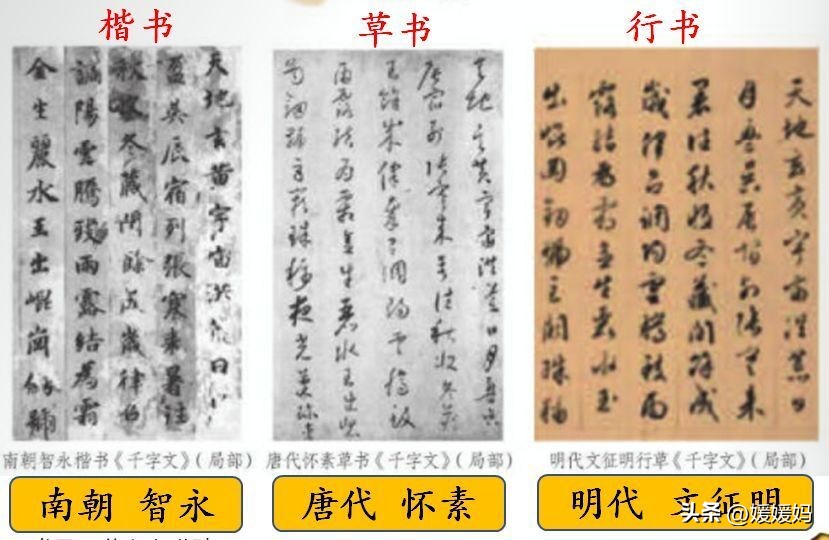 语文五年级下册三单元知识点总结,语文下册五年级第三单元知识梳理