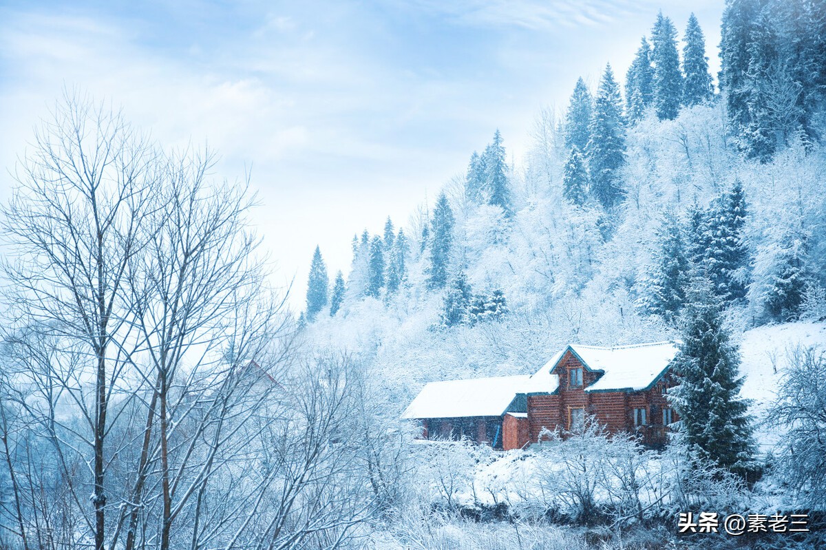 女作家去做保姆528,女作家去做保姆最新篇528