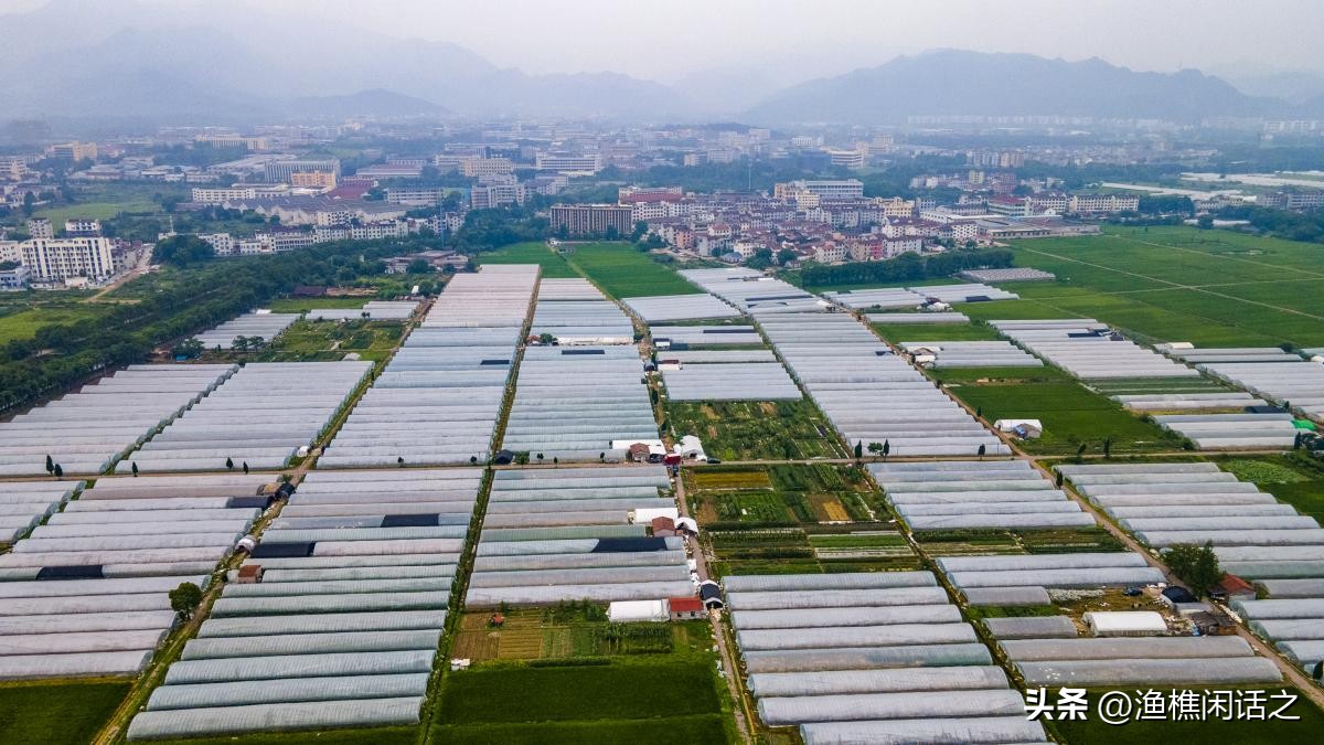 如何推进我国农村合作经济组织,当前农村经济合作社存在的问题