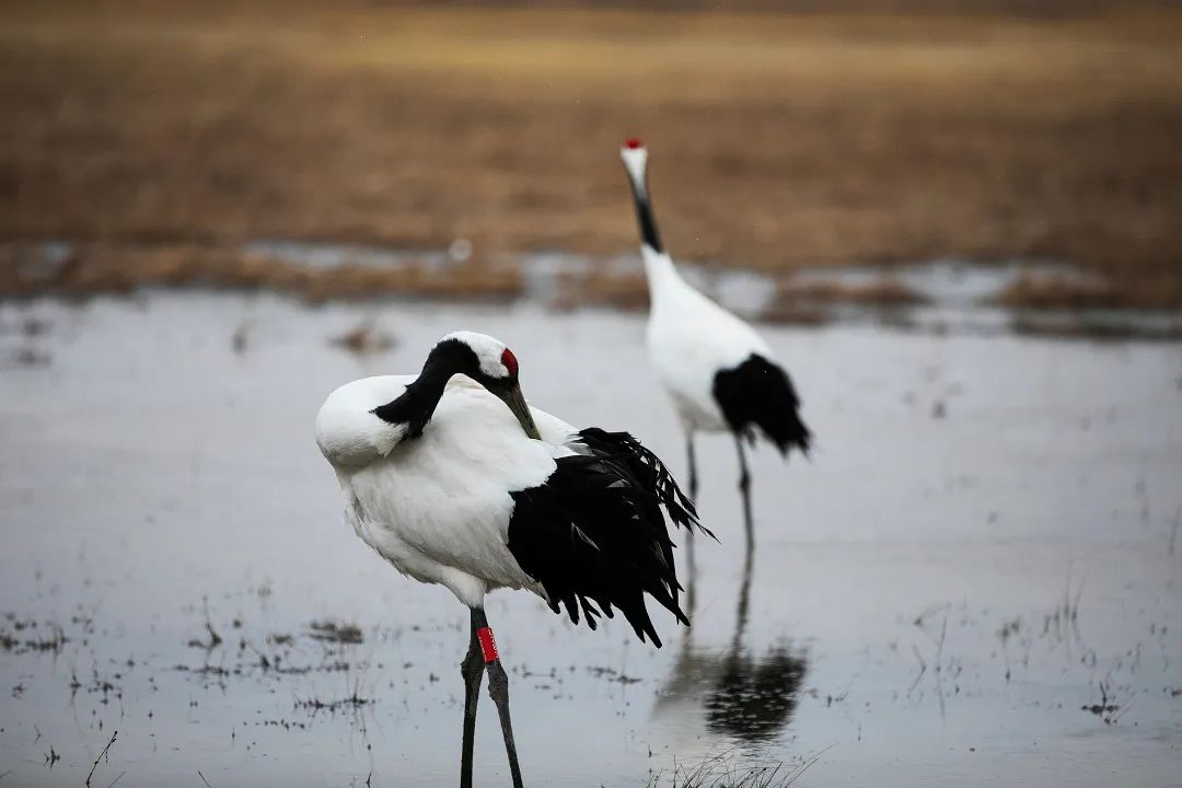 迎接党的20大美术作品,喜迎二十大乡村摄影展