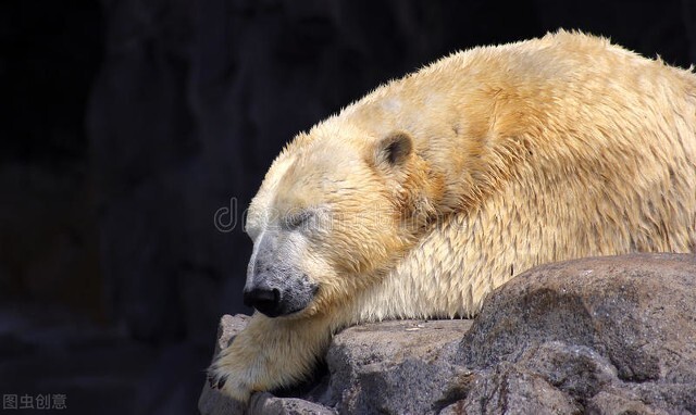 生物多样性黑科技,生物基因黑科技