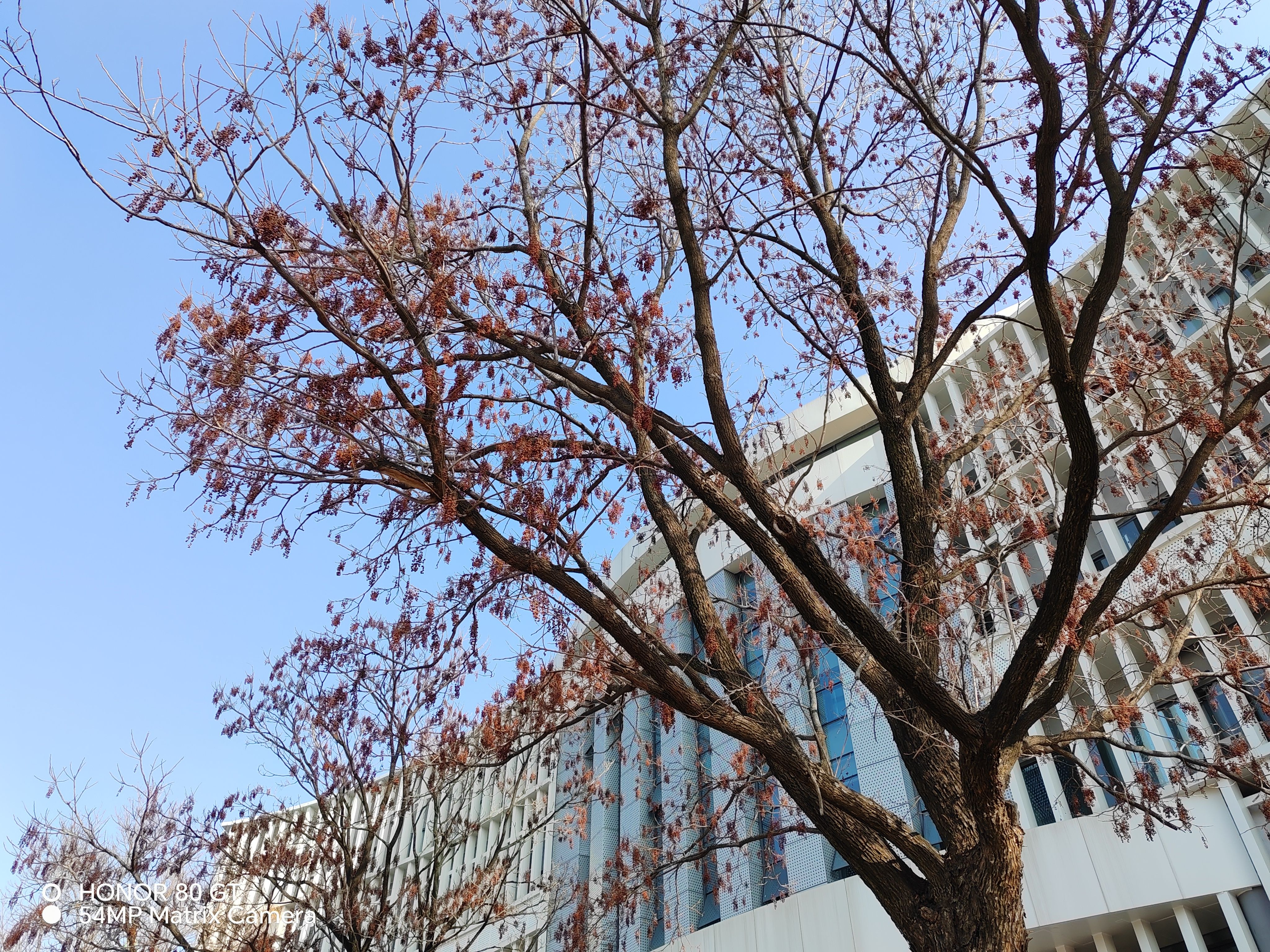 硬核实测，荣耀80GT对阵iQOO11，差价上千能带来多少体验差异？