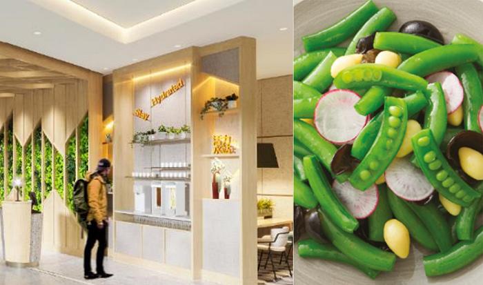 苏州古运河逸衡洲际酒店,逸衡酒店属于洲际什么档次