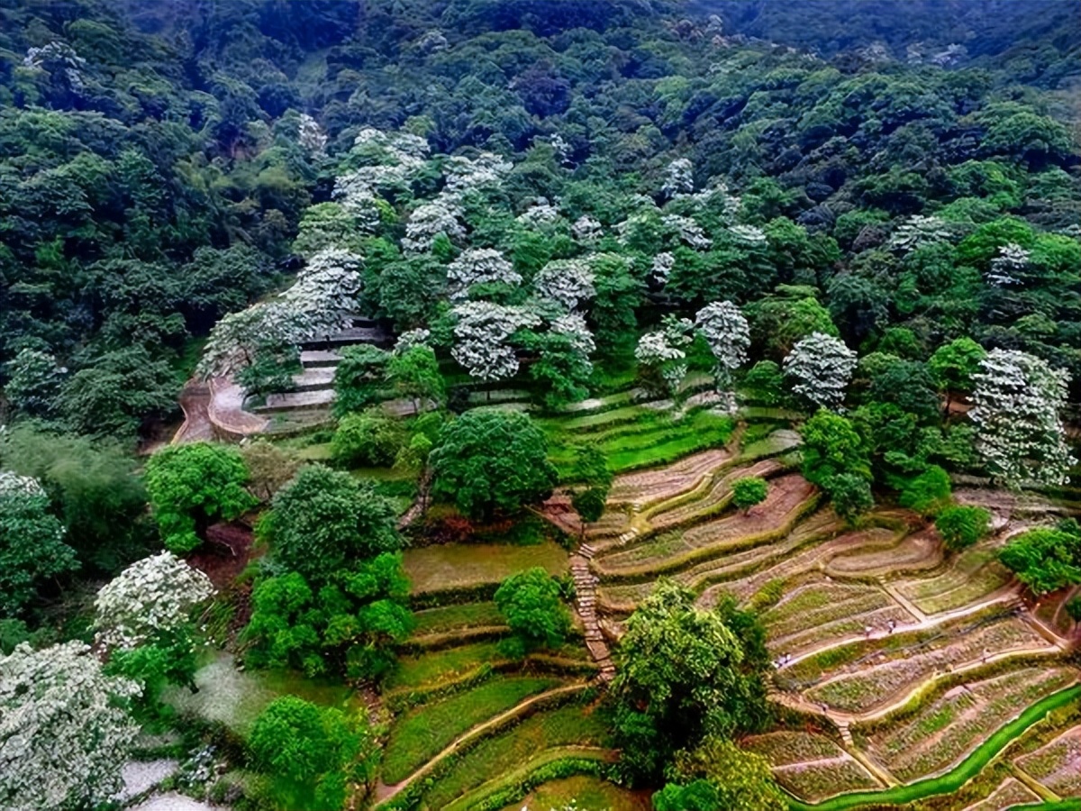 广州鹤之洲湿地公园游玩攻略简介,增城凤凰古城一日游最佳去处