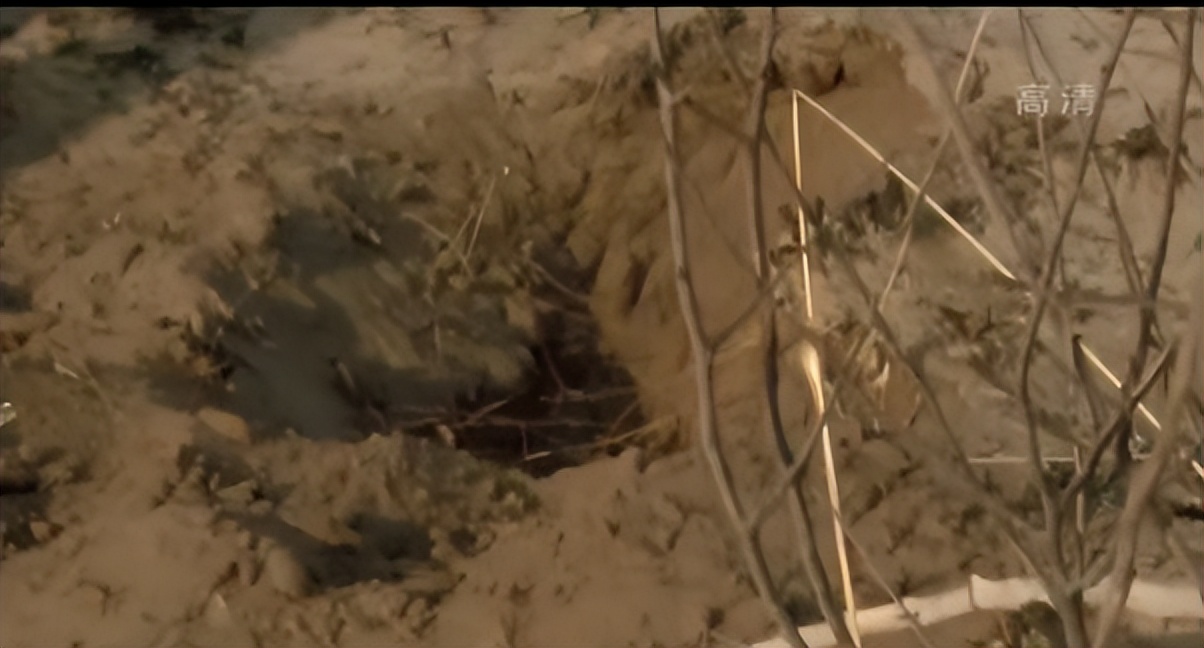 布须曼人捕猎全过程,布须曼人捕河马