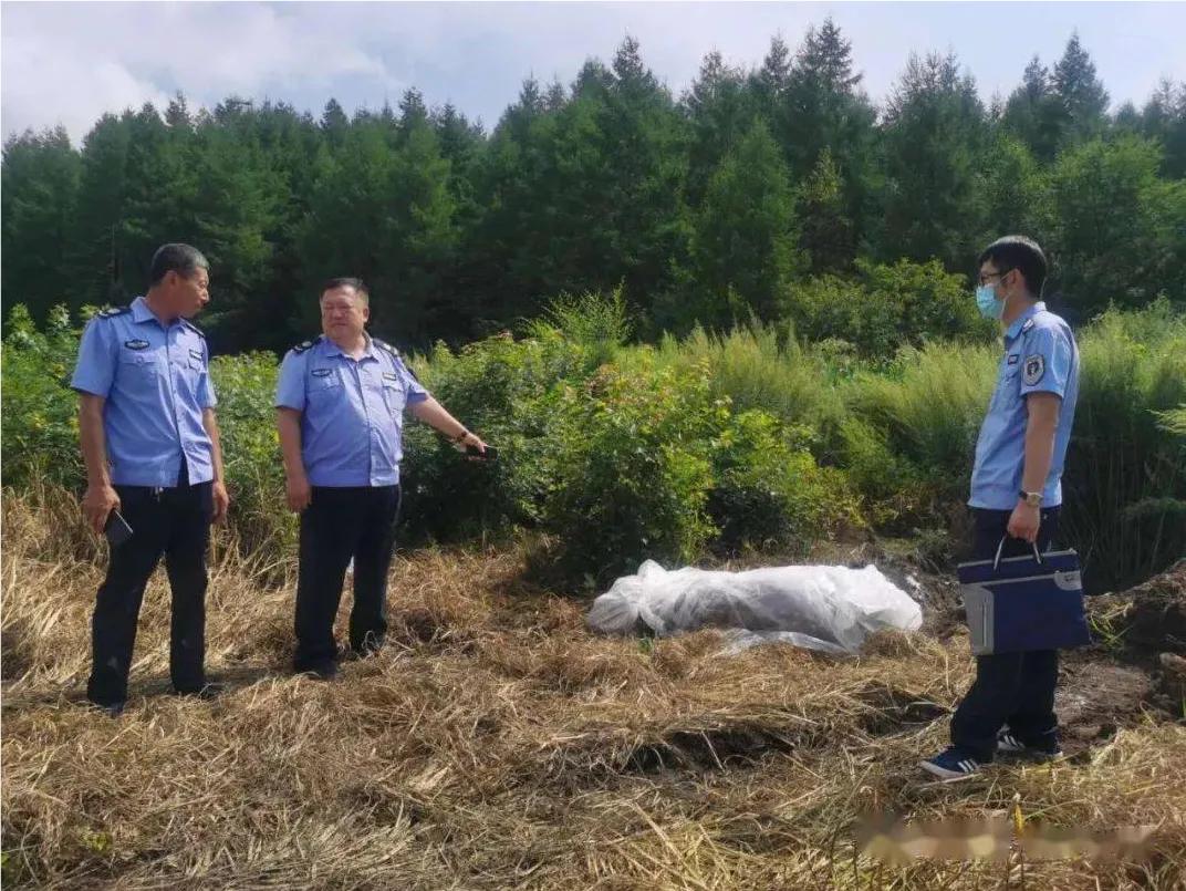 全国农业执法局什么时候正式开展,国家是不是真成立农业执法队