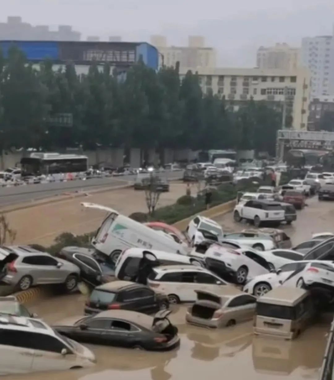 这样投诉广州政府真的让人无法理解啊