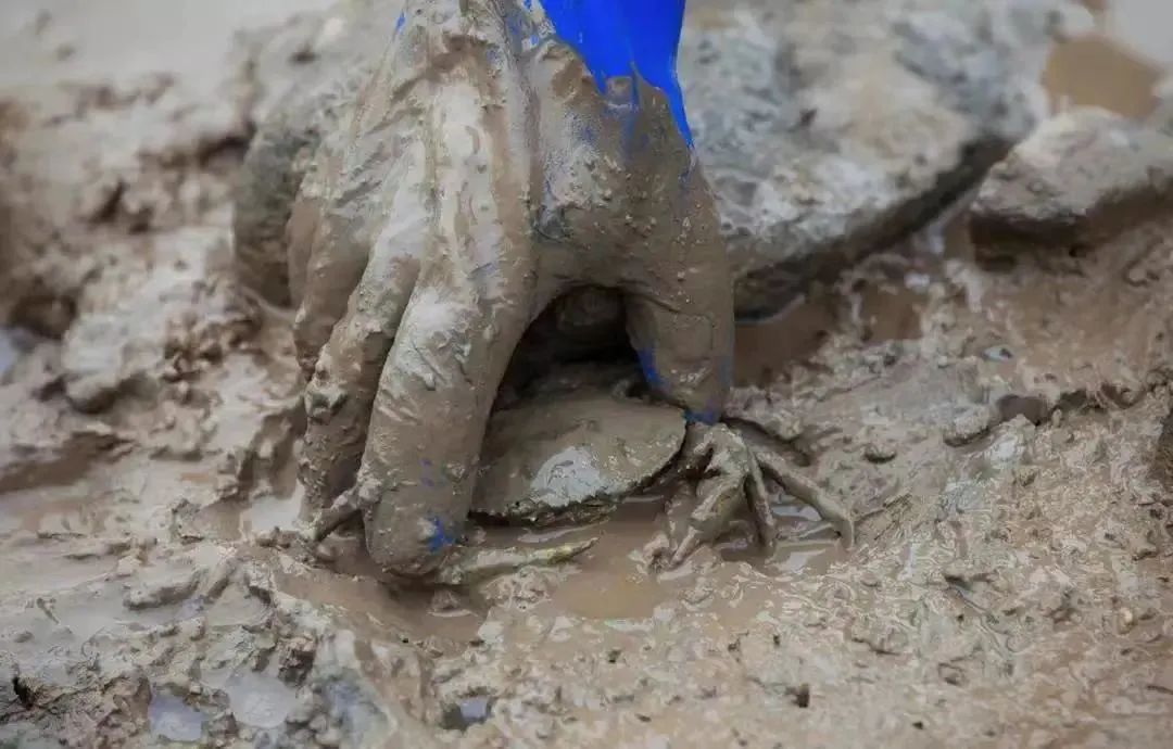 国庆嗨玩指南,象山景区攻略