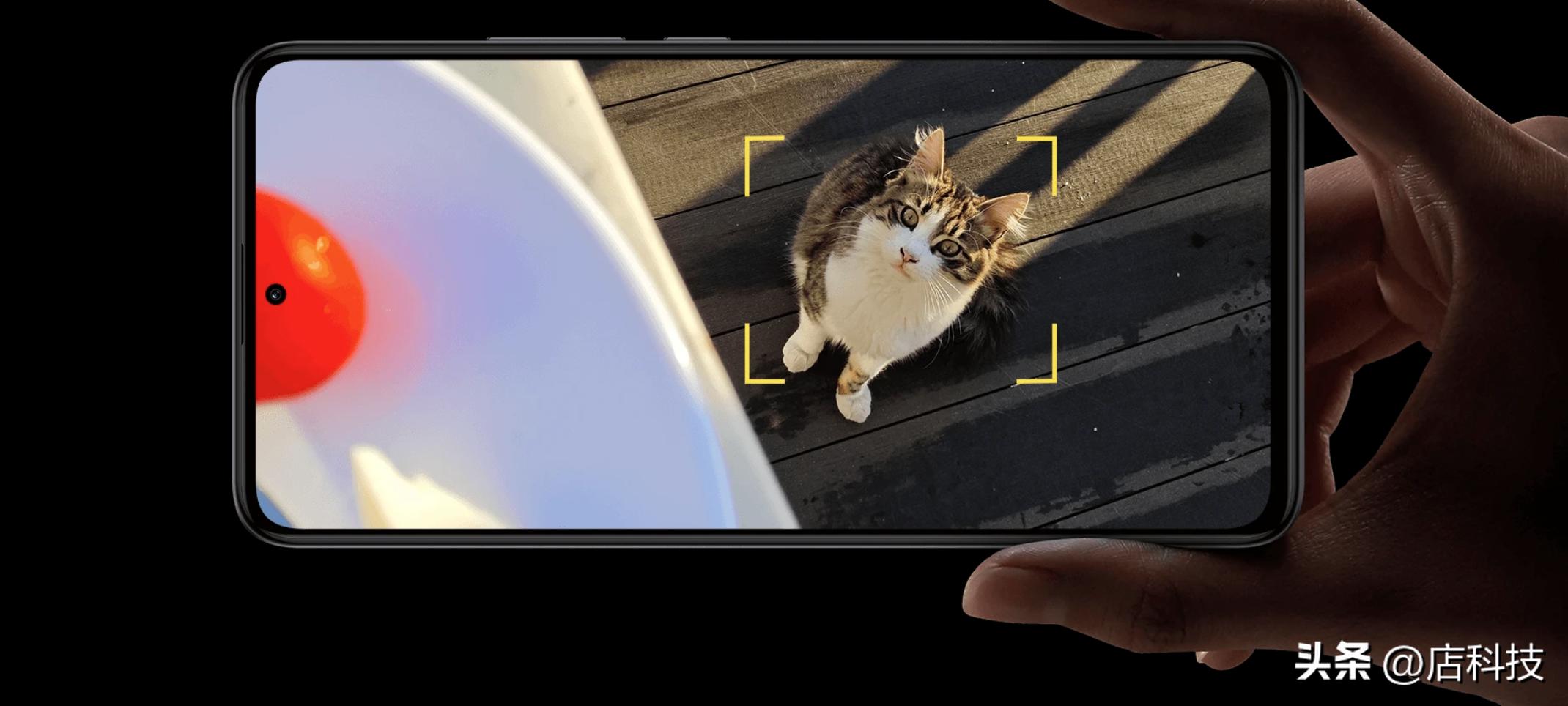 预算5000哪些手机值得推荐,预算1500元有哪些手机值得选择