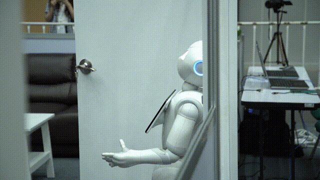 robocup机器人世界杯中国赛决赛,robocup机器人大赛中国赛区含金量