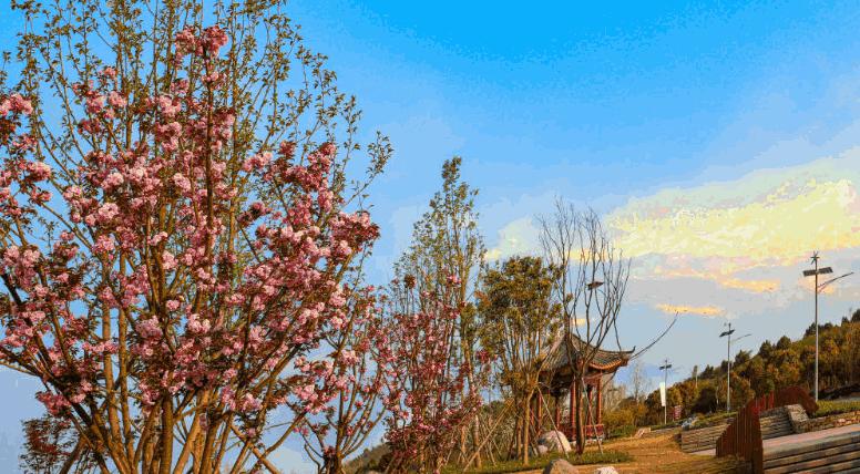 缁甸槼涓滆景楂樼骇涓鎺㈡牎,缁甸槼涓滆景楂樼骇涓鎺㈣