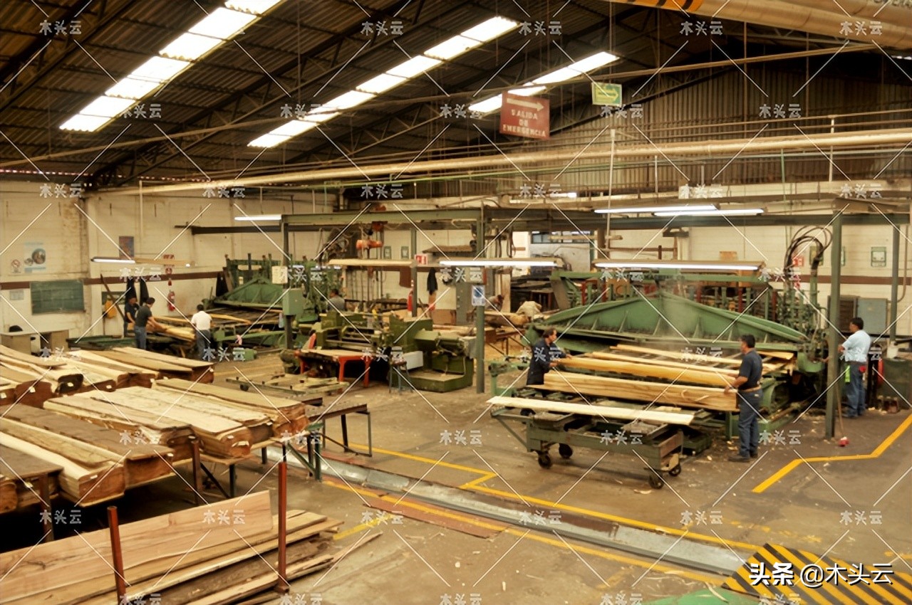 马来胶合板,马来西亚年产胶合板多少