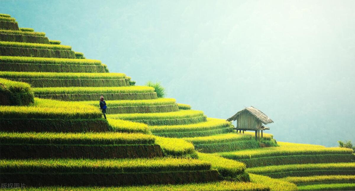 上海农转非户口宅基地动迁,上海宅基地动迁买房政策