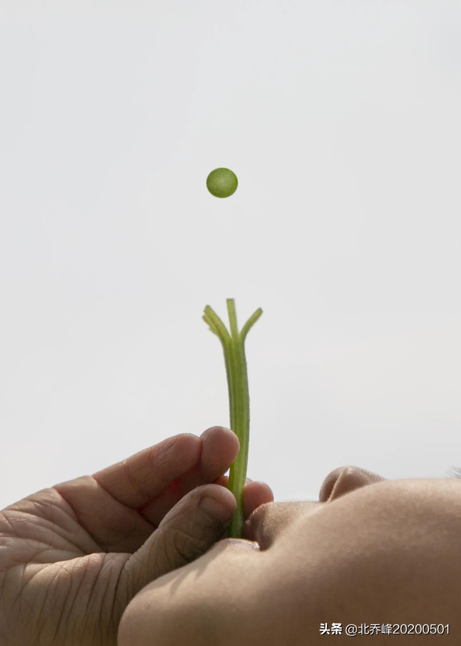 儿时游戏玩具,80年代游戏手工玩具