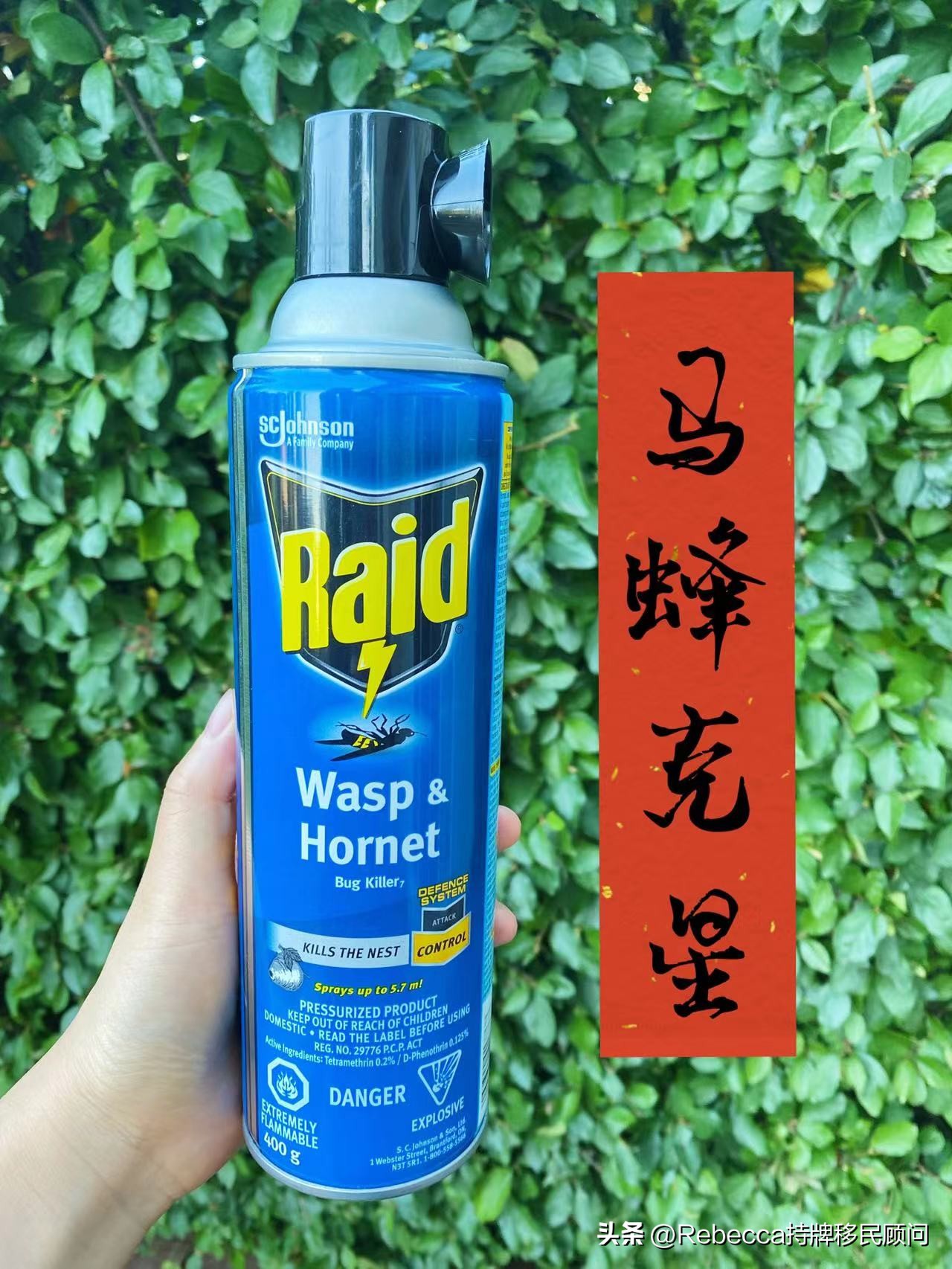 老外大量消灭马蜂,加拿大怎么除蟑螂