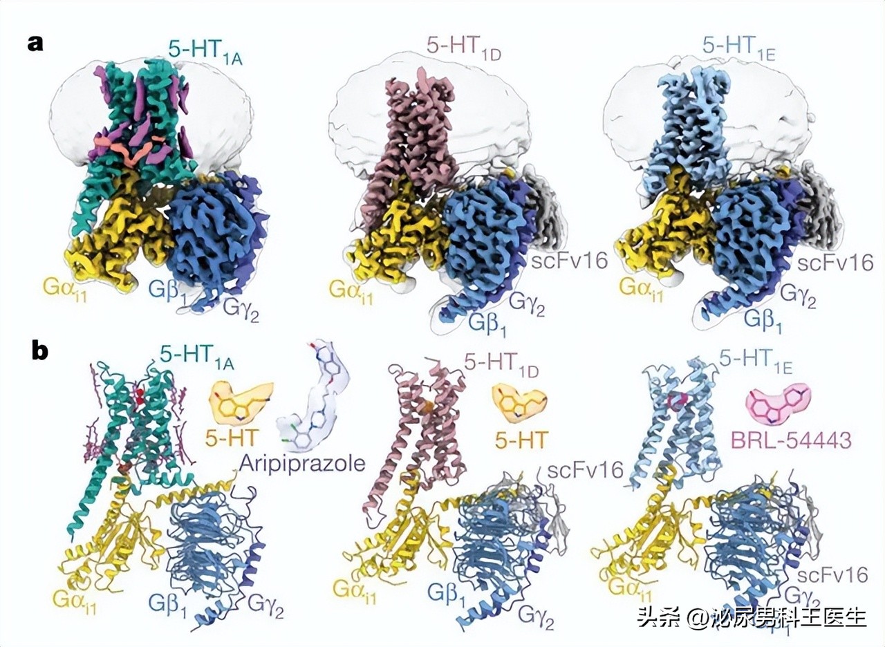 第一次使用达泊西汀，该注意什么？医生：怎么吃、多久吃很重要
