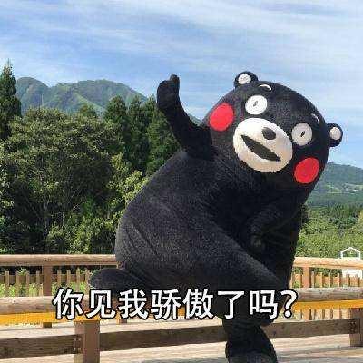 荷兰有风车郁金香还有啥,荷兰的郁金香花田和风车