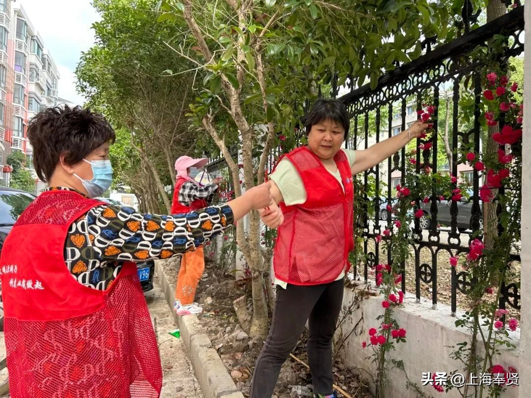 拆迁安置房怎么分家析产,拆改结合型小区