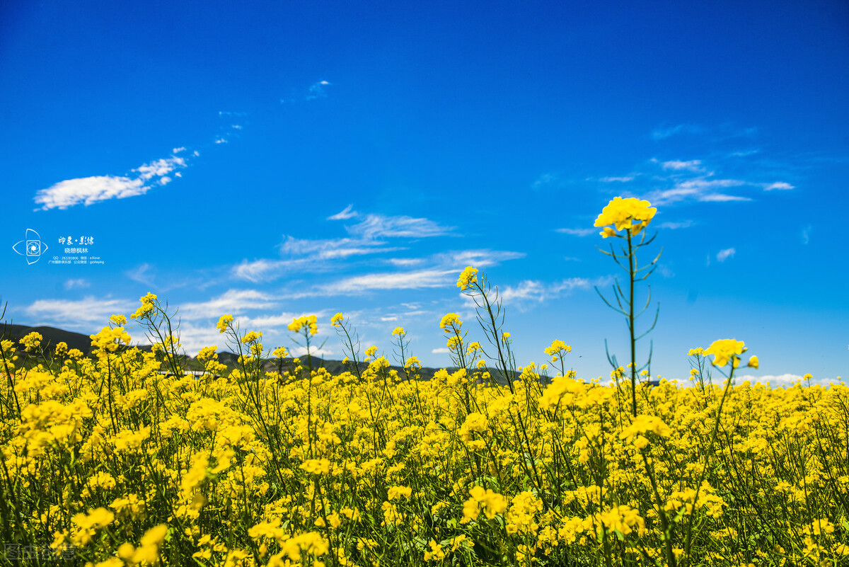全职妈妈怎么定位自媒体,新人做自媒体如何定位