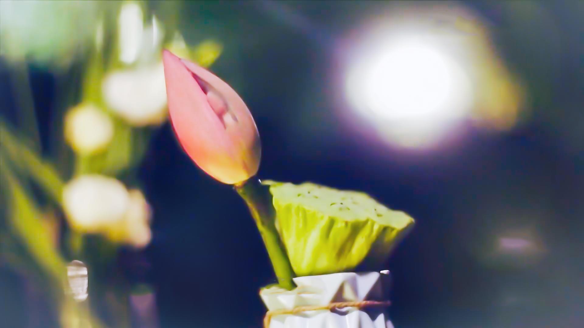 天地有正气杂然赋流形原文,天地有正气杂然赋流形