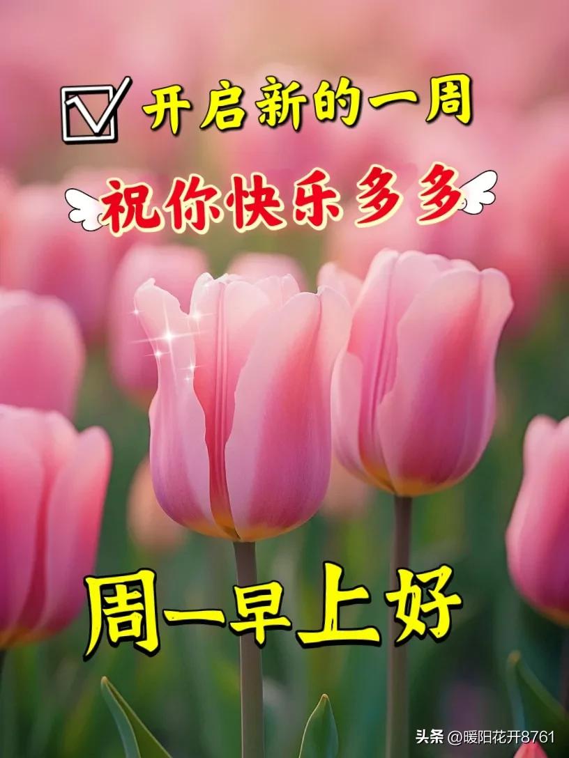 周一早安问候最新图片图文,周一早安问候语正能量简短图片