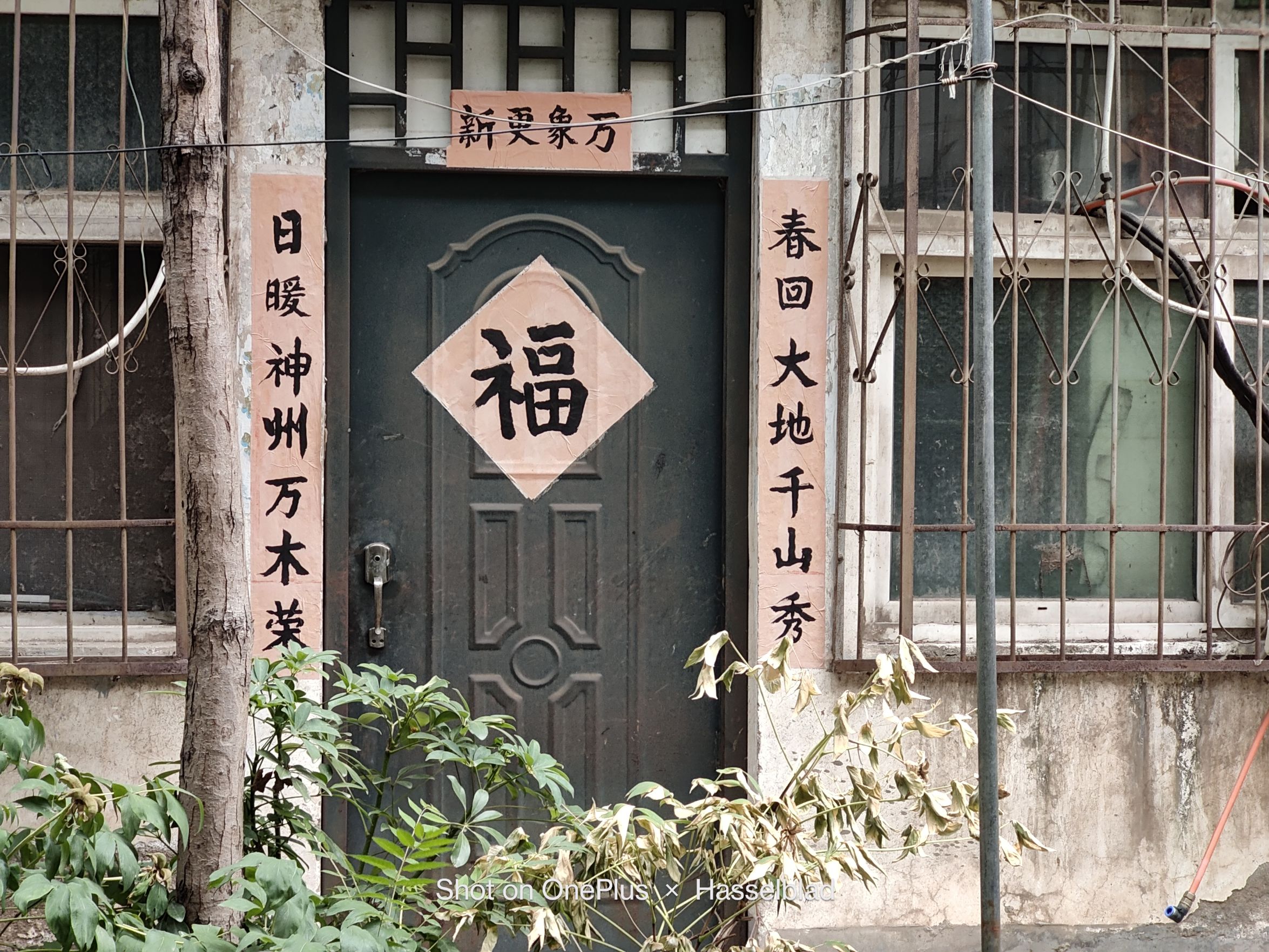 一加10pro使用一个月体验,一加10pro有哪些优点