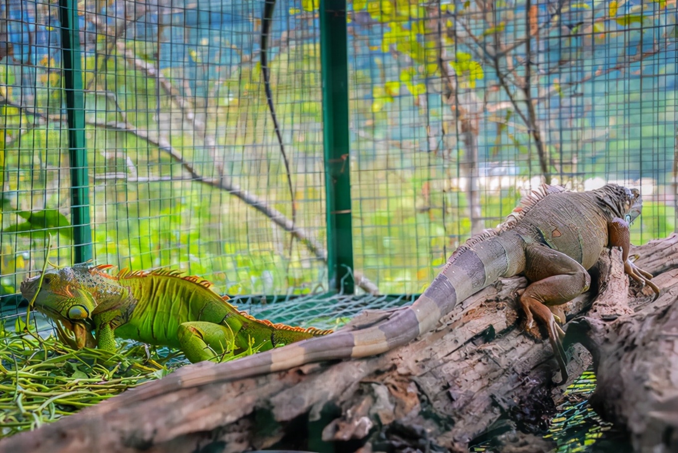 三亚旅游攻略超详细的景点,三亚旅游全攻略必看景点